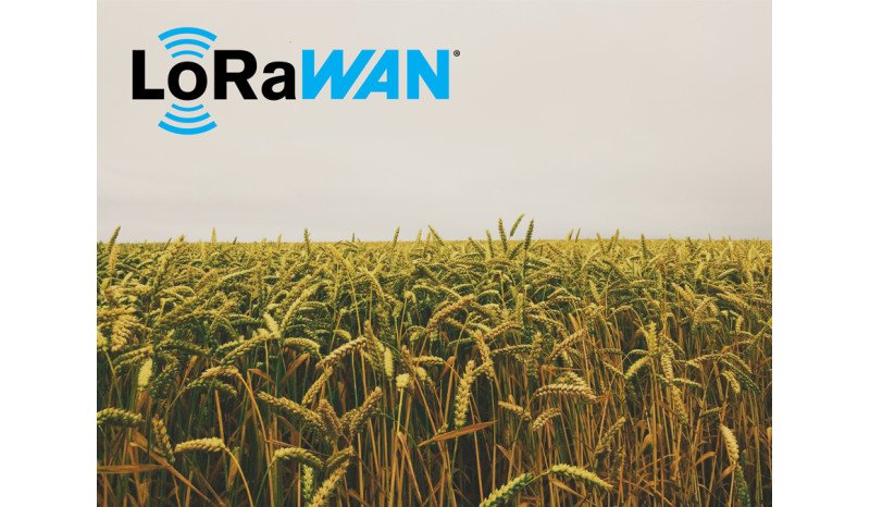 Інтернет речей у сільському господарстві: 8 варіантів використання технологій для розумного землеробства